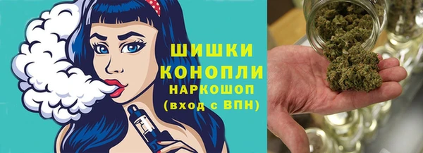 ГАЛЛЮЦИНОГЕННЫЕ ГРИБЫ Гусев
