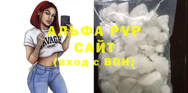 гашик Новозыбков