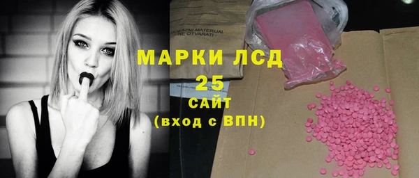 хмурый Сатка