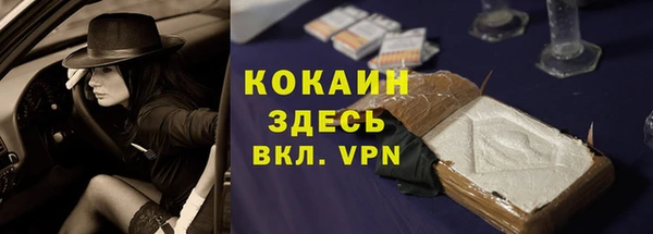 гашик Новозыбков