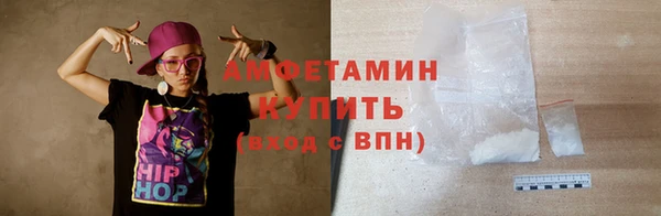 гашик Новозыбков