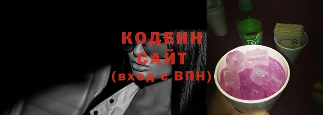 ГАЛЛЮЦИНОГЕННЫЕ ГРИБЫ Гусев
