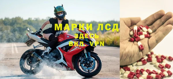 ГАЛЛЮЦИНОГЕННЫЕ ГРИБЫ Гусев