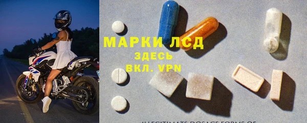 ГАЛЛЮЦИНОГЕННЫЕ ГРИБЫ Гусев