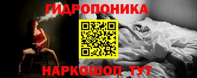 2c-b Камышлов