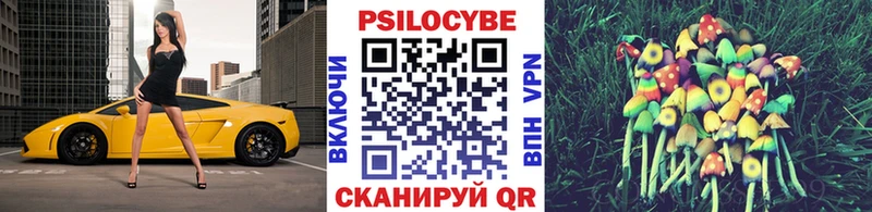 Галлюциногенные грибы Psilocybine cubensis  Протвино 