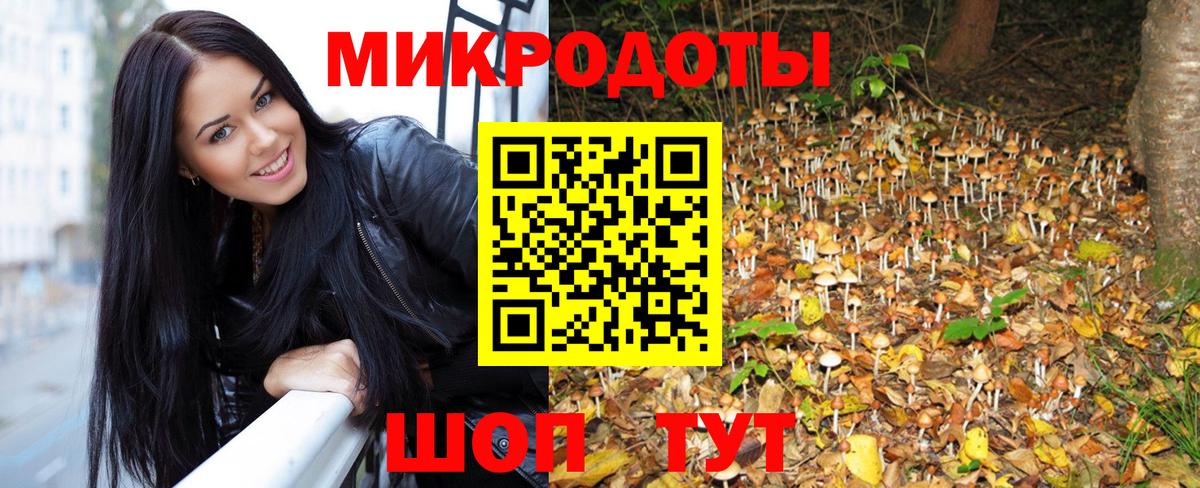 Протвино  Псилоцибиновые грибы Psilocybine cubensis  Вход с VPN 